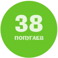 Каталог Детская мебель фабрики 38Попугаев от магазина ПолКомода.РУ