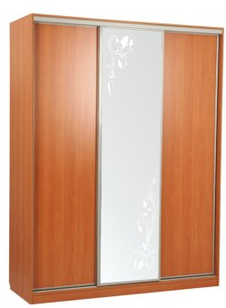 Шкаф-купе Бассо 1-600 цветы - 35586