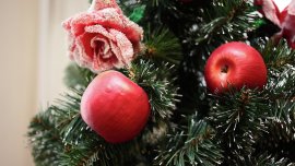 23 новогодних факта, которые удивят ребенка