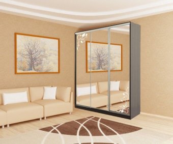 Шкаф-купе Бассо 4-600 цветы - 33177