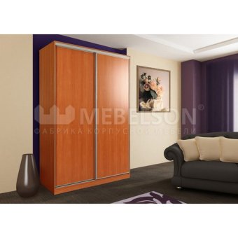 Шкаф купе Рио 5-600 - 21667