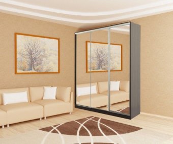 Шкаф-купе Бассо 4-600 - 33090