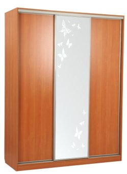 Шкаф-купе Бассо 1-600 бабочки - 32394